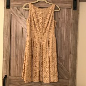 MUSE Fit and Flare Beige Lace Dress